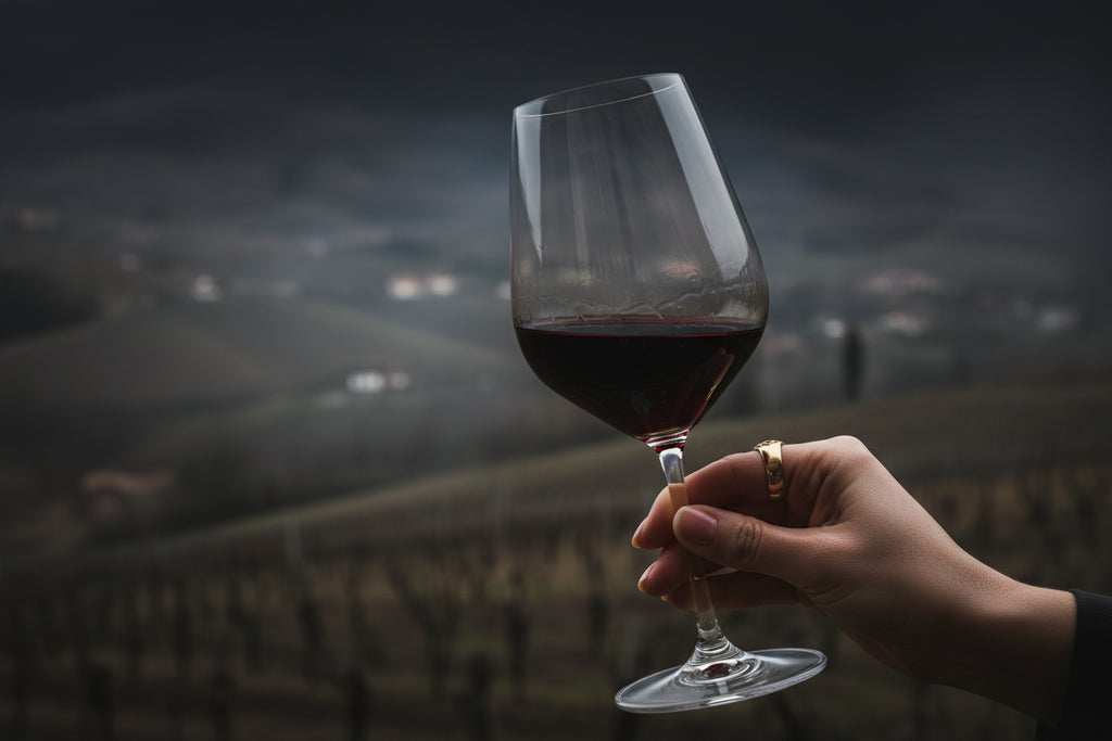 Cos'è il Valpolicella Ripasso e perché è diverso dall'Amarone