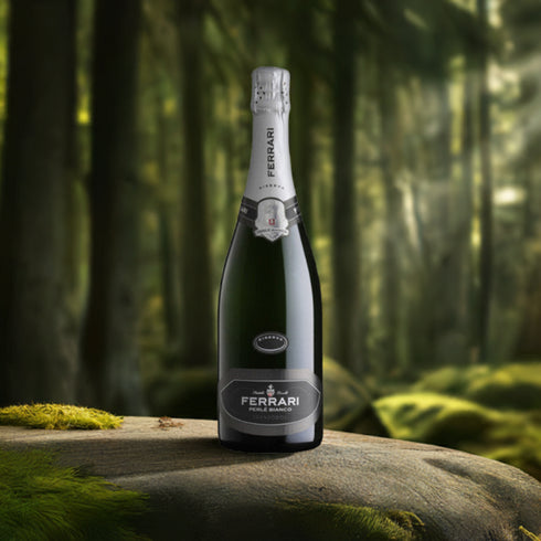 Ferrari Perlé Bianco Riserva Trento DOC 2017 75cl